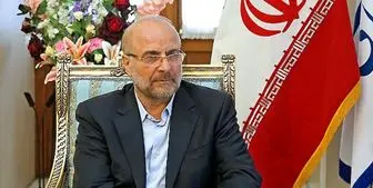 رئیس مجلس شورای اسلامی : باید پای کار باشیم تا مسائل حل شود