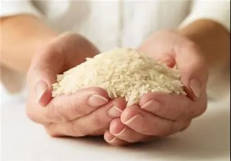 بازگرداندن نیروی جوانی با مصرف سبوس برنج