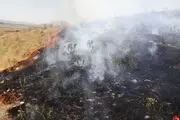 
جنگل گیان در محاصره آتش + تصاویر
