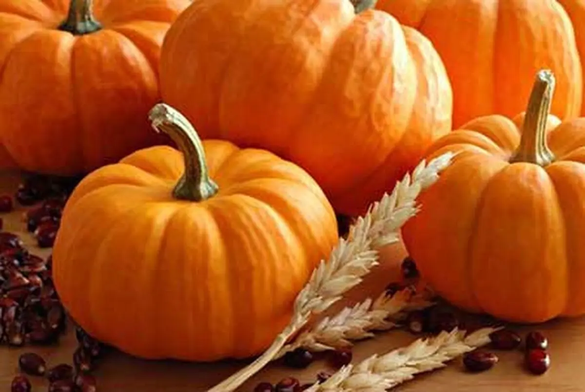 خواص معجزه آسای کدوی حلوایی