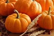  هنرنمایی با کدوتنبل یک تنی/ عکس