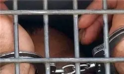 دستگیری سارقان ویلاهای زعفرانیه بخش طرقبه