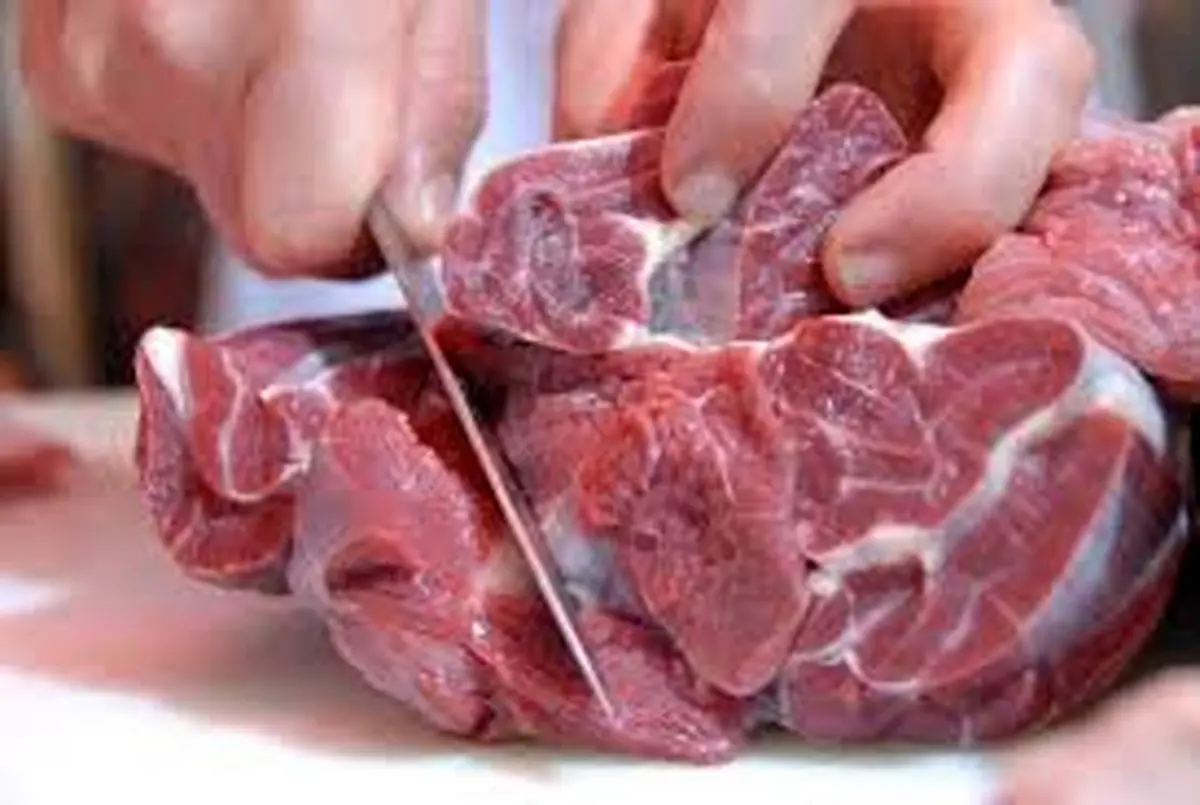 کاهش التهاب بازار گوشت گوسفندی با واردات