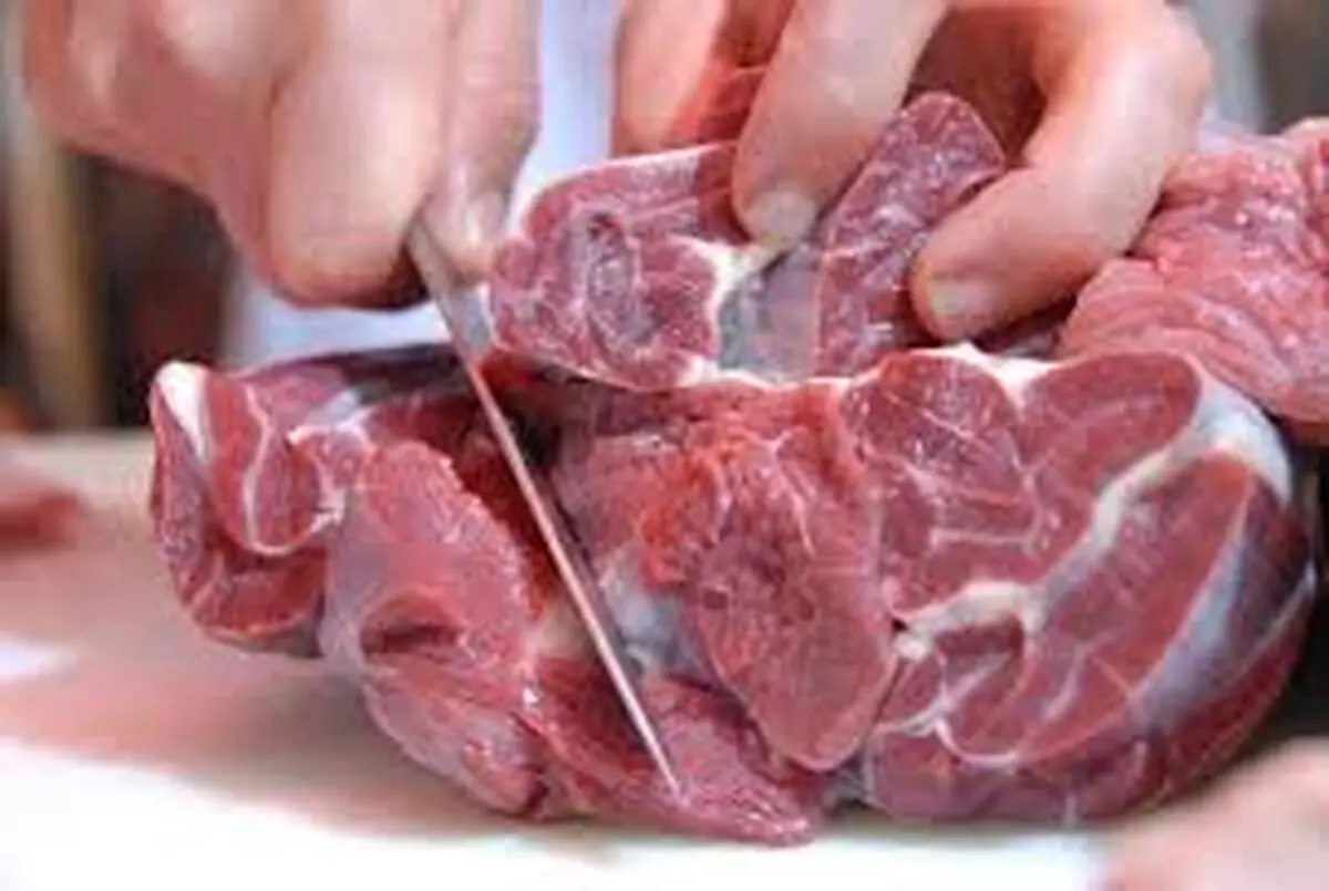 کاهش التهاب بازار گوشت گوسفندی با واردات 