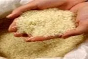 افزایش ناگهانی قیمت برنج خارجی/ دلیل گرانی برنج