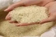 ۳۰ هزار تن برنج باسماتی در انتظار ورود به ایران
