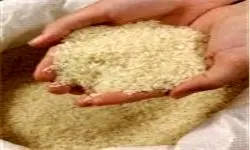 قیمت انواع برنج در بازار