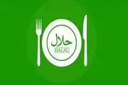 گردش مالی ۴هزار میلیارد دلاری غذای حلال در دنیا