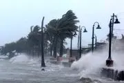 طوفان ساکنان فلوریدا را فراری داد