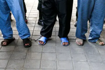بازسازی صحنه زورگیری اتوبان صدر/ گزارش تصویری