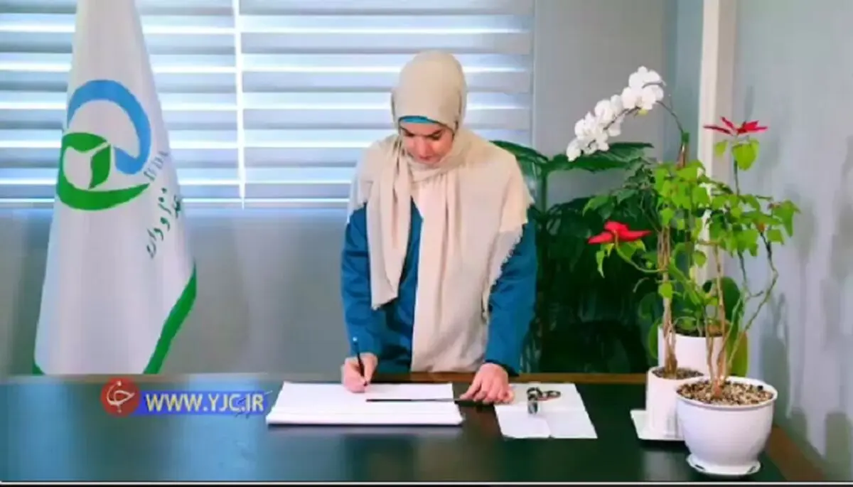 چگونه ماسک خانگی درست کنیم /فیلم