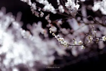 resized_1541386_614