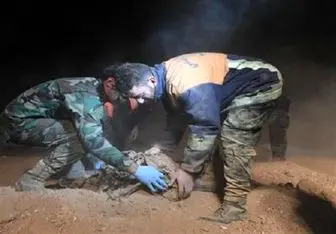 کشف بیش از ۲۰۰ گور جمعی در مناطق آزاد شده از اشغال داعش