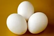 فروش تخم مرغ با نرخ ۹۰ هزار تومان گرانفروشی است
