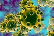 جزئیات ابتلای فردی به‌طور همزمان به آنفلوآنزا و کرونا
