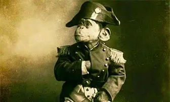 این میمون در جنگ جهانی اول سربازان را سرگرم می کرد+عکس