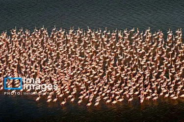 172705334_DJI_20251113152121_0033_D_MEDIDJI3