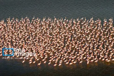 172705334_DJI_20251113152121_0033_D_MEDIDJI3