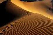 اجرای عملیات بیابان‌زدایی در ۷ میلیون هکتار از اراضی کشور