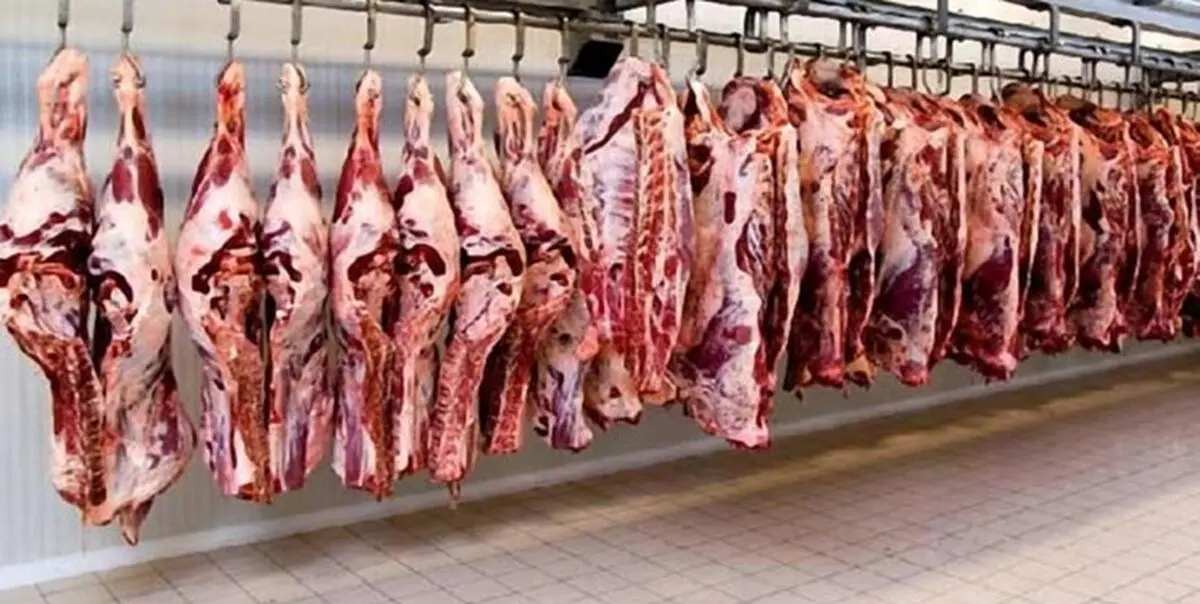 کاهش مجدد قیمت گوشت قرمز در راه است
