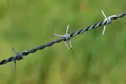 توقف بهره برداری چوب از جنگلها 