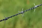 توقف بهره برداری چوب از جنگلها 