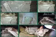 یک فروند موشک کروز آمریکا در رودبار جنوب منهدم شد
