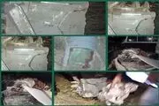 یک فروند موشک کروز آمریکا در رودبار جنوب منهدم شد