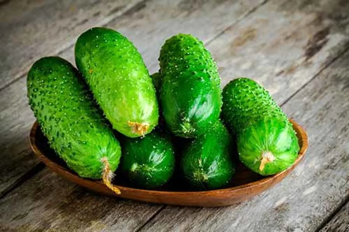 خواص عجیب و فوقالعاده ته تلخ خیار