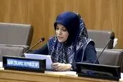 نماینده ایران: به شدت نگران فعالیت‌های تروریستی در افغانستان هستیم