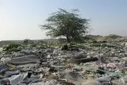 زباله هایی که نفس زمین را به شماره انداخته است