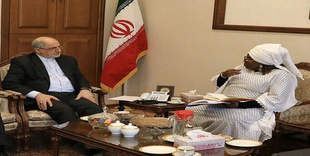 آمادگی اتحادیه آفریقا برای همکاری با ایران