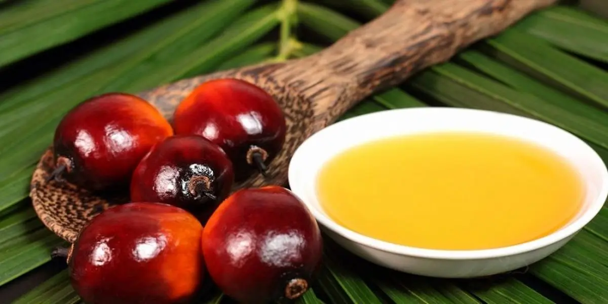 مزایای روغن پالم که نمیدانستید