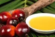 مزایای روغن پالم که نمی‌دانستید