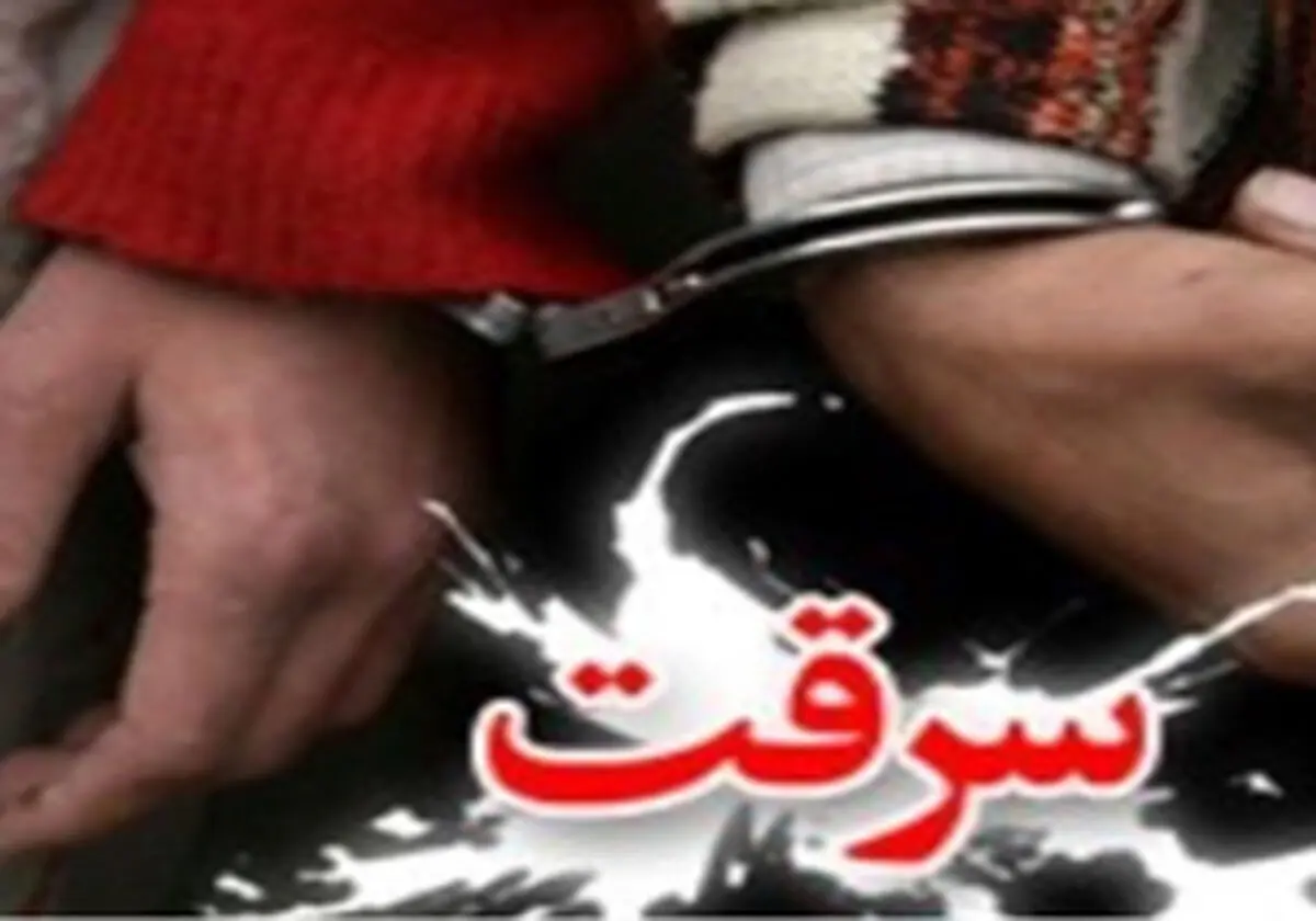 
دستگیری سارقان مسلح طلافروشی
