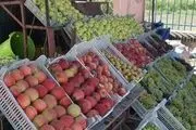 
رسیدن میوه‌های نوبر پاییز به بازار
