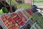
رسیدن میوه‌های نوبر پاییز به بازار
