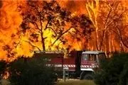 پارک ملی لار دچار آتش‏ سوزی شد