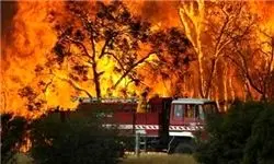 پارک ملی لار دچار آتش‏ سوزی شد