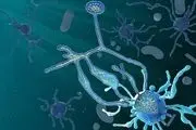 شناسایی حلقه گمشده منشاء احتمالی موجودات زنده
