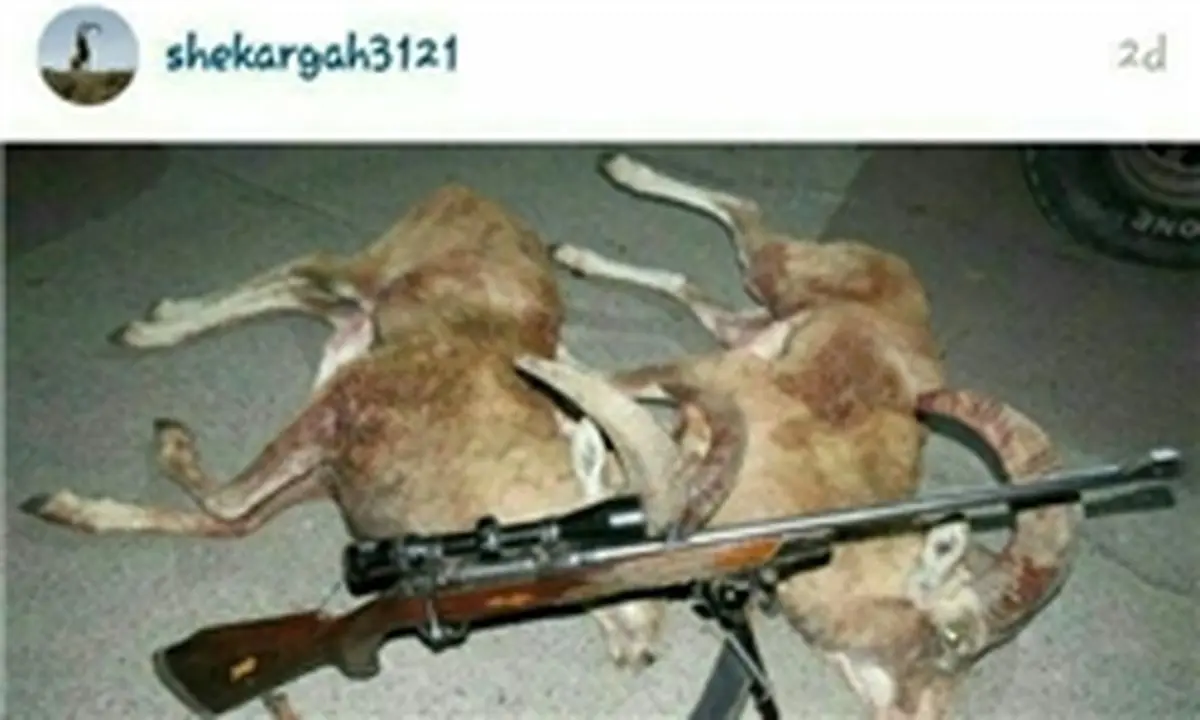 شکارگاه مجازی مسدود شد