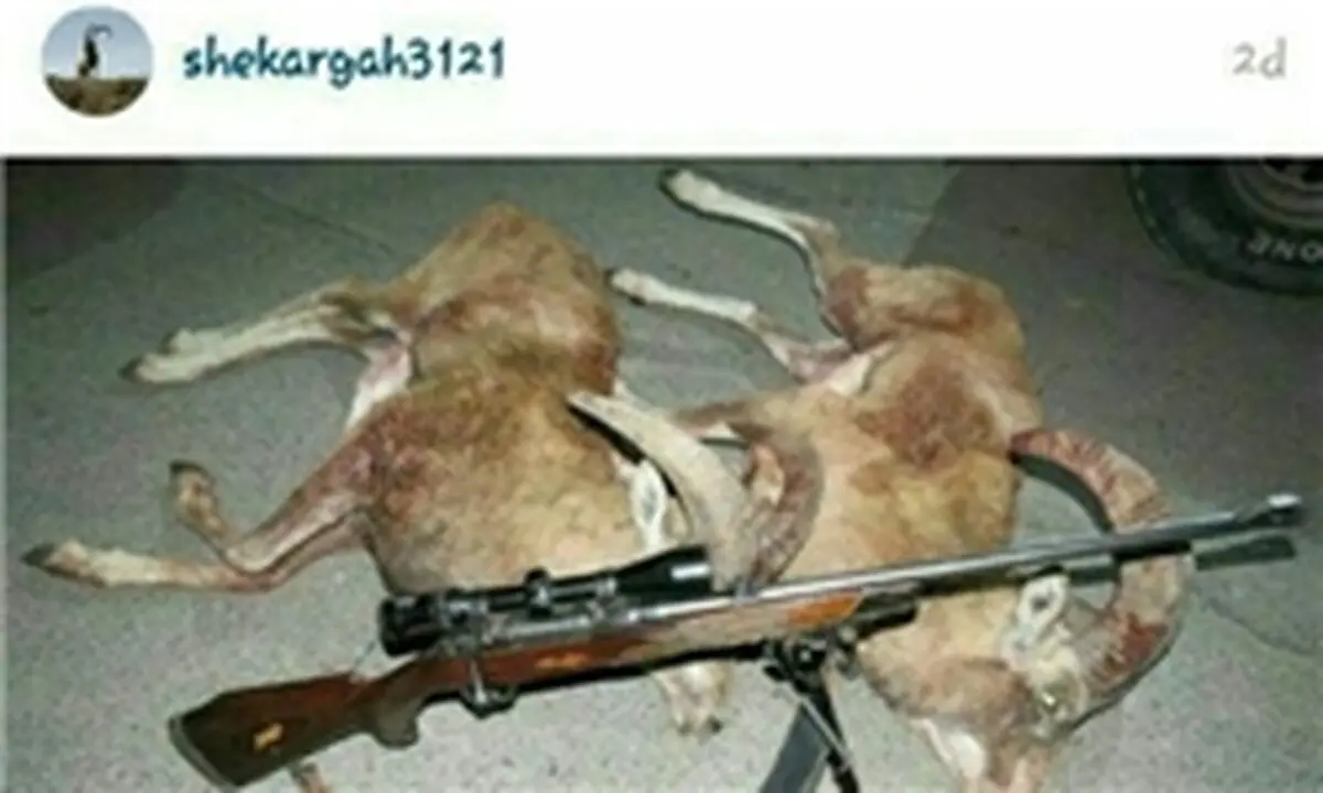 شکارگاه‌ مجازی مسدود شد