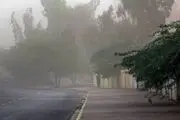 
وزش باد شدید در جنوب و غرب تهران