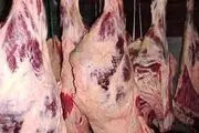 آخرین اخبار از عرضه گوشت دولتی