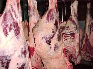 عرضه گوشت گرم وارداتی و داخلی