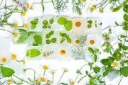 فواید ماسک یخ برای جوانی و زیبایی پوست!
