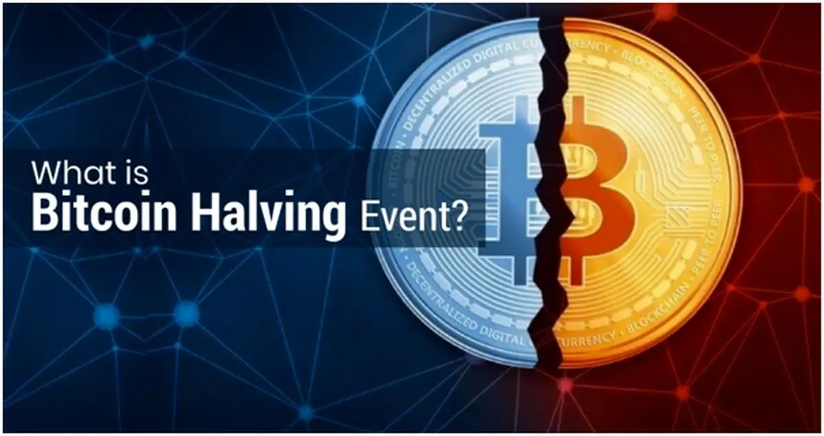 هاوینگ بیت کوین چیست و چه تاثیری روی قیمت بیت کوین میگذارد؟