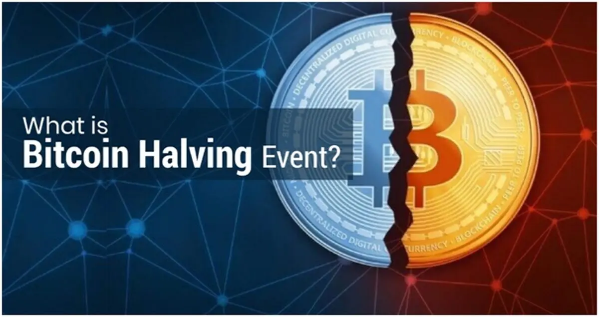 هاوینگ بیت کوین چیست و چه تاثیری روی قیمت بیت کوین می‌گذارد؟