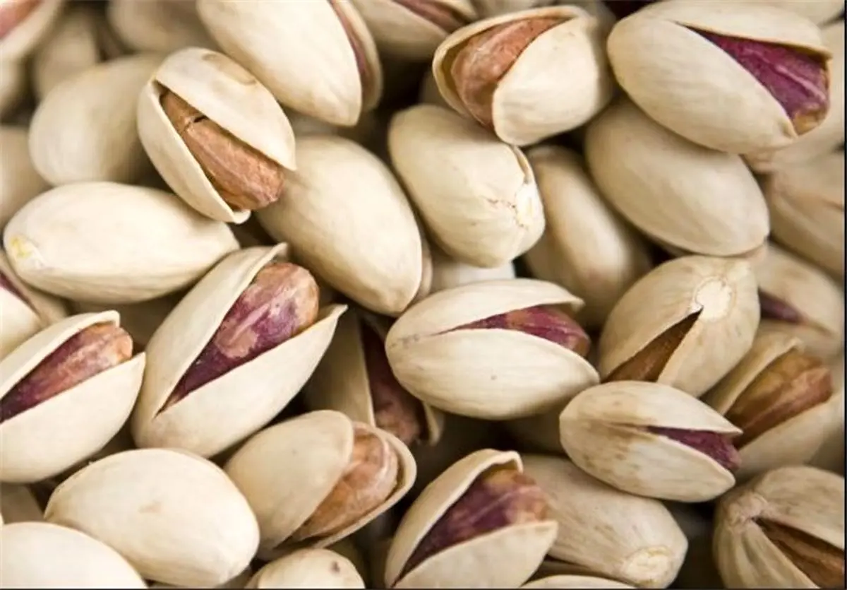 خنده از لبان پسته ایران رفت 