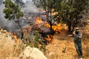
کشاورز فداکار لرستانی جان باخت
